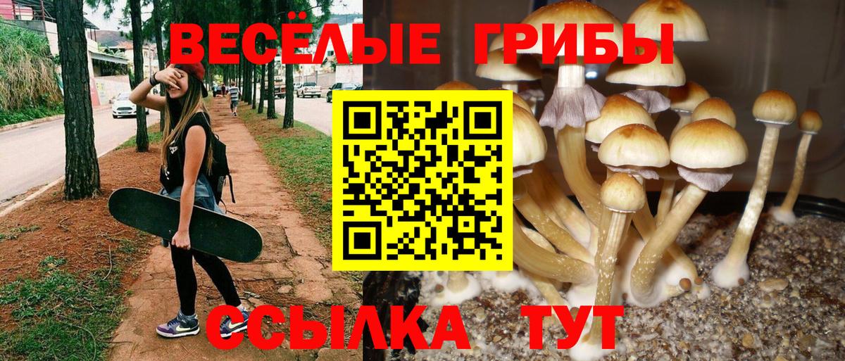 Сегежа  Галлюциногенные грибы MAGIC MUSHROOMS  Вход с VPN  Галлюциногенные грибы MAGIC MUSHROOMS 